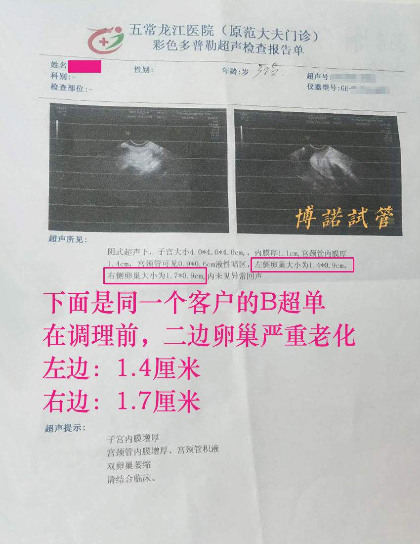 德国代孕医院.jpg