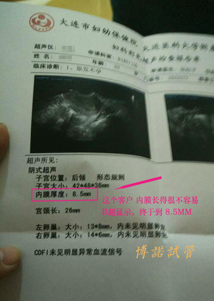 德国代孕招聘网.jpg