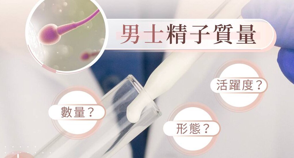 德国代孕机构：试管婴儿的实施步骤