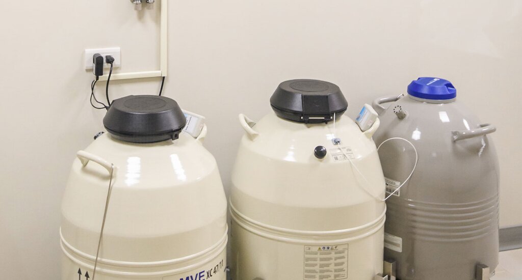 德国代孕机构：我与“小糯米”的三年约定