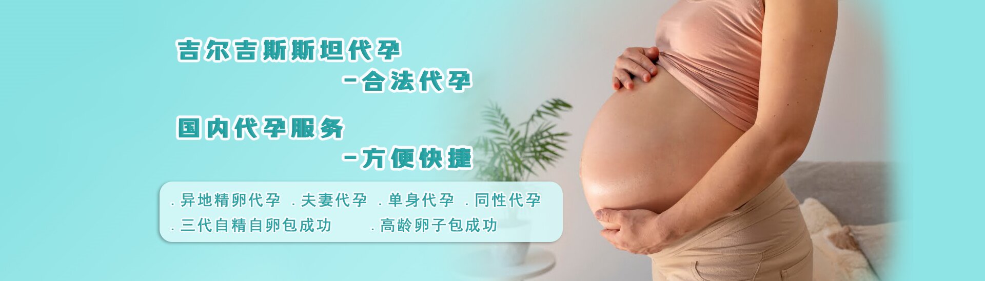 德国代孕