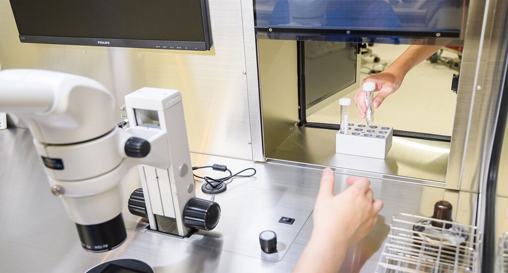 德国代孕公司：让爱与生命重新被点亮