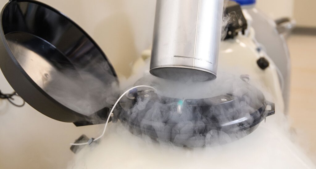 德国代孕机构：从两个人到三个人的旅程